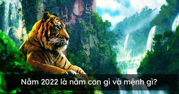 Năm 2022 năm con gì?