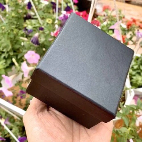 Vỏ hộp đựng đồng hồ TS02