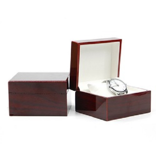 Vỏ hộp đựng đồng hồ TS05