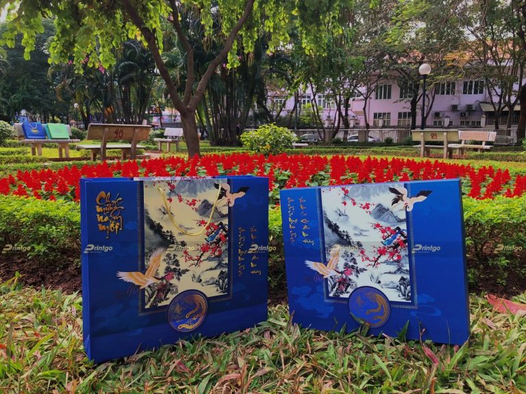 Vỏ hộp quà tết 2022 – Mã TD-206A (42*36*10.5)